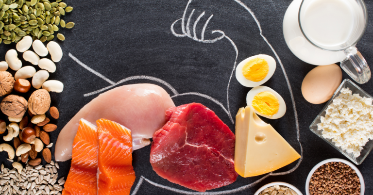 la importancia de la proteína