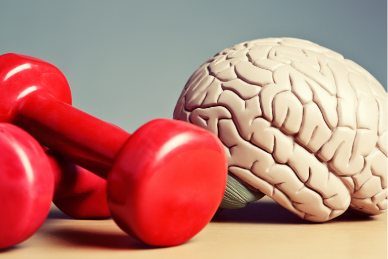 conexion fuerza y cerebro