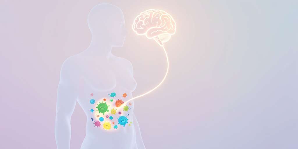 microbiota y estado de ánimo